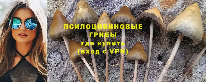 кракен ССЫЛКА  Кущёвская  Галлюциногенные грибы MAGIC MUSHROOMS  даркнет сайт 